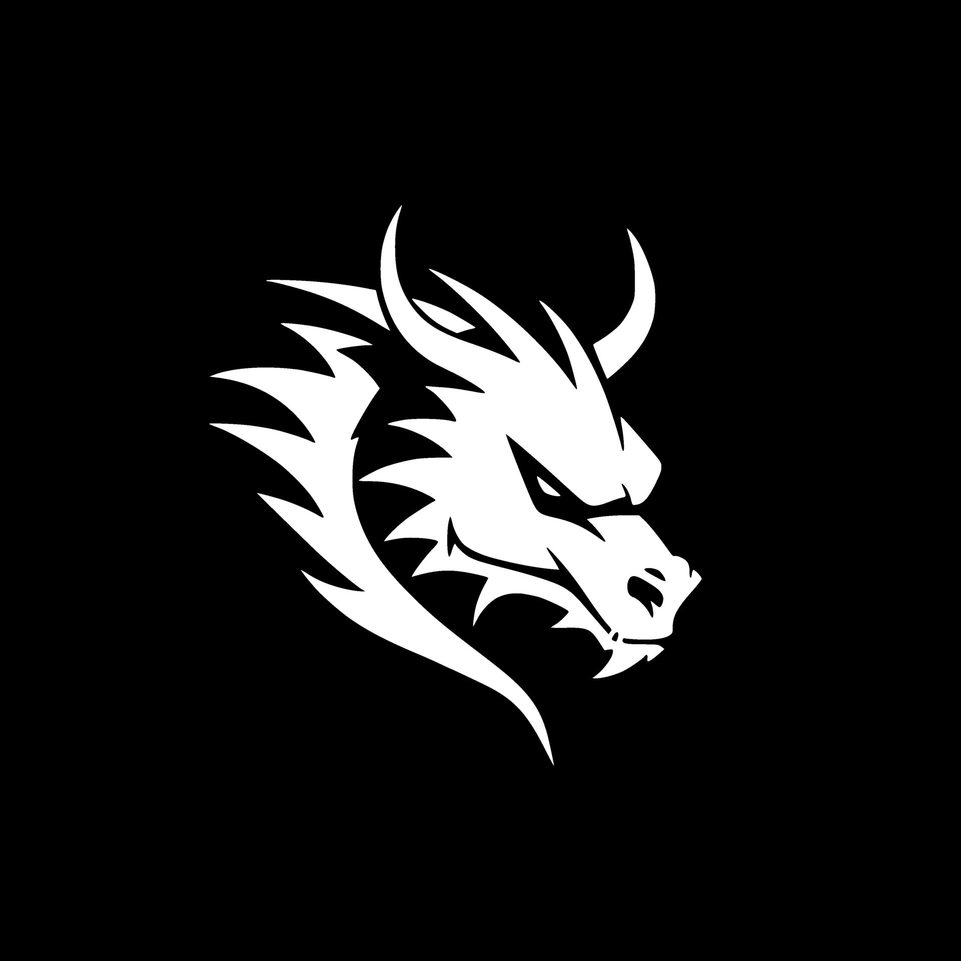 Dragon, Black and White Vector illustration 29191750 Vector Art at Vecteezy