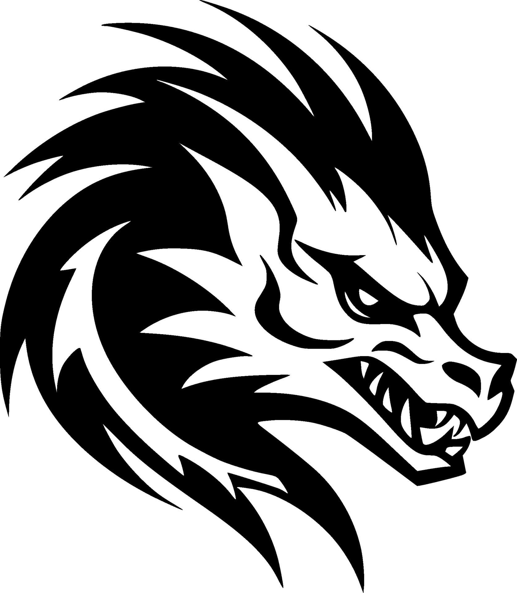 Dragon, Black and White Vector illustration 29191846 Vector Art at Vecteezy