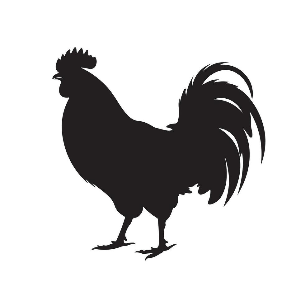 pollo silueta vector