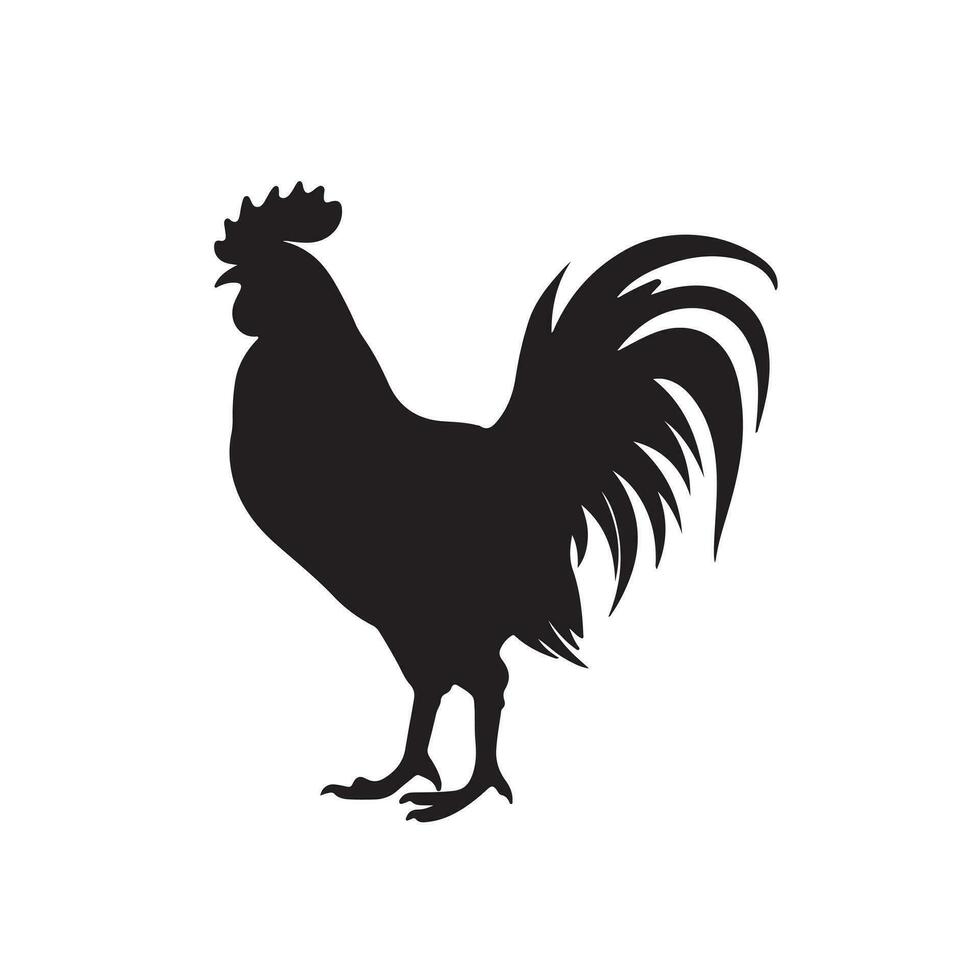 gallo silueta vector