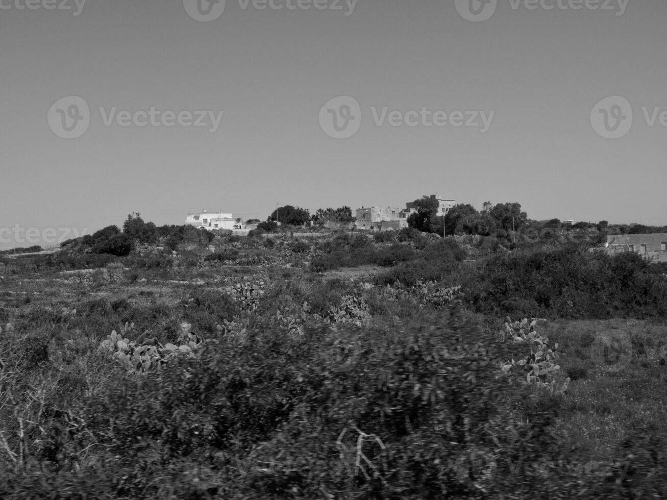 the island of Gozo photo