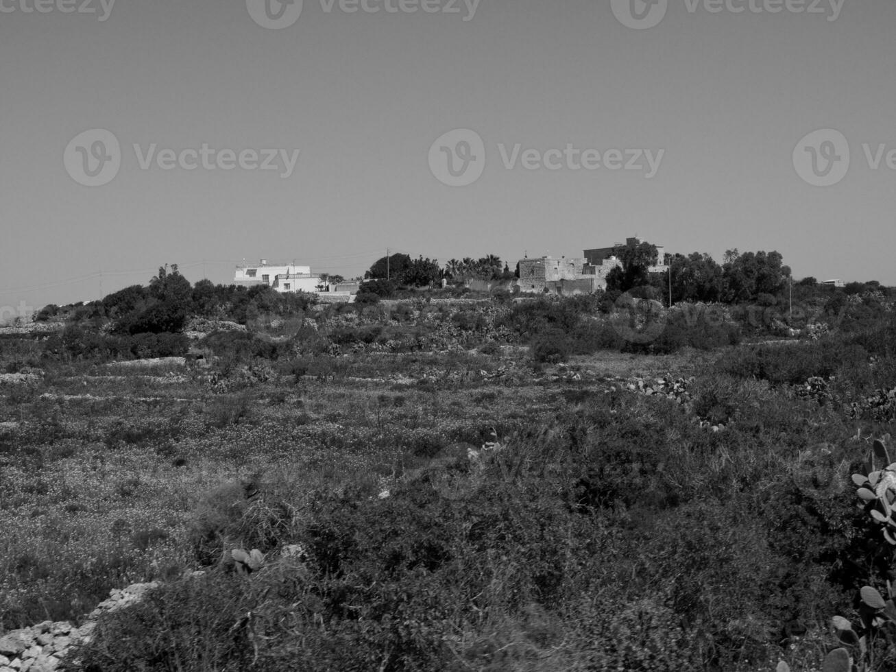the island of Gozo photo