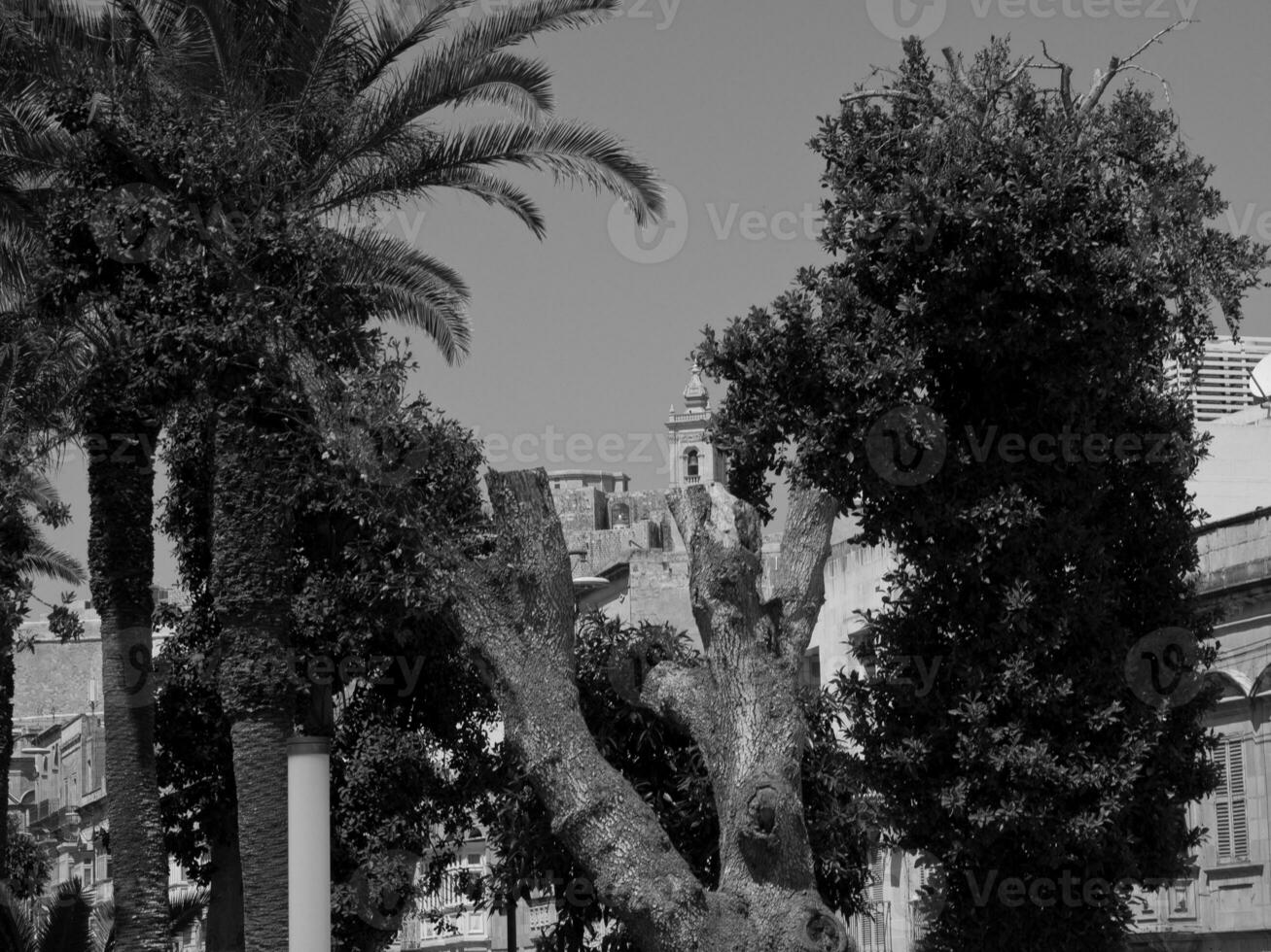 the island of Gozo photo
