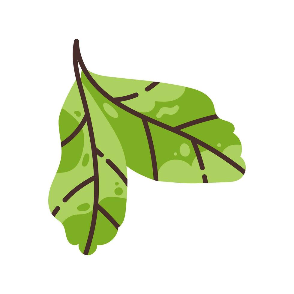 Two green leaves of a plant. Flat modern vector illustration.