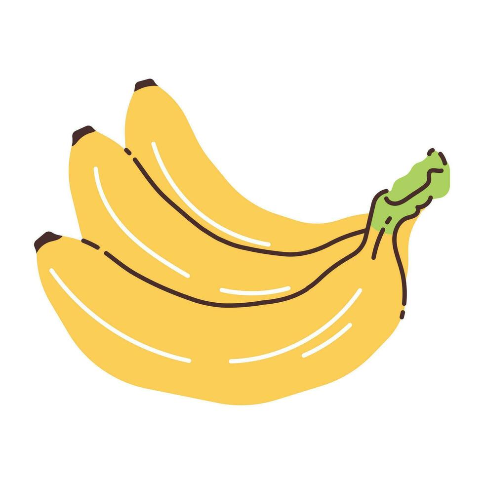 Bananas isolated on white background. Flat modern vector illustration.