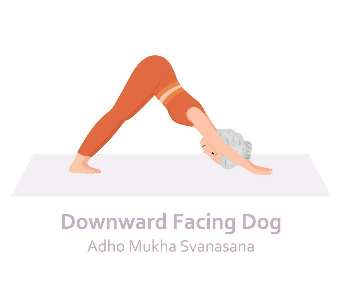 hacia abajo frente a perro yoga pose. adho mukha svanasana. mayor mujer practicando yoga asanas sano estilo de vida. plano dibujos animados personaje. vector ilustración