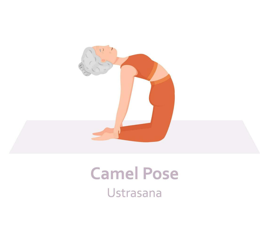 Camel Yoga pose. Ustrasana. Elderly woman practicing yoga asana. Healthy lifestyle. Flat cartoon character. Vector illustration