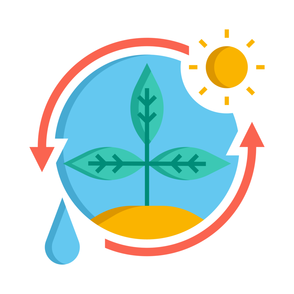 Photosynthesis PNG Generative Ai 29194038 PNG