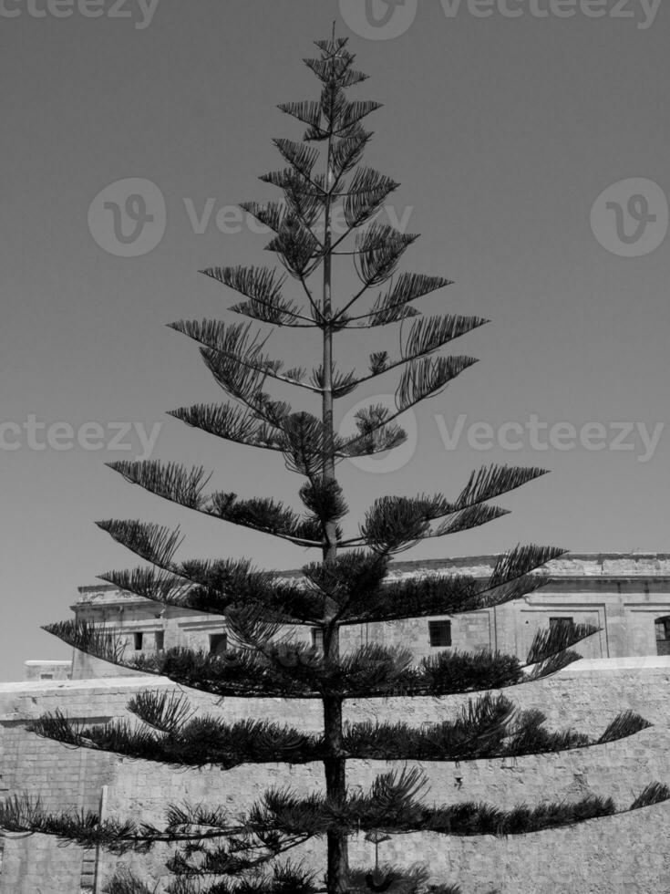 the island of Malta photo