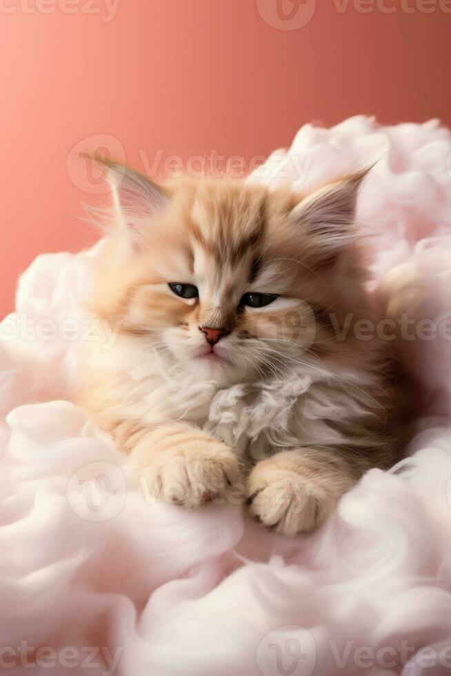 A playful kitten napping on a fluffy cloud bed isolated on a pink gradient background photo