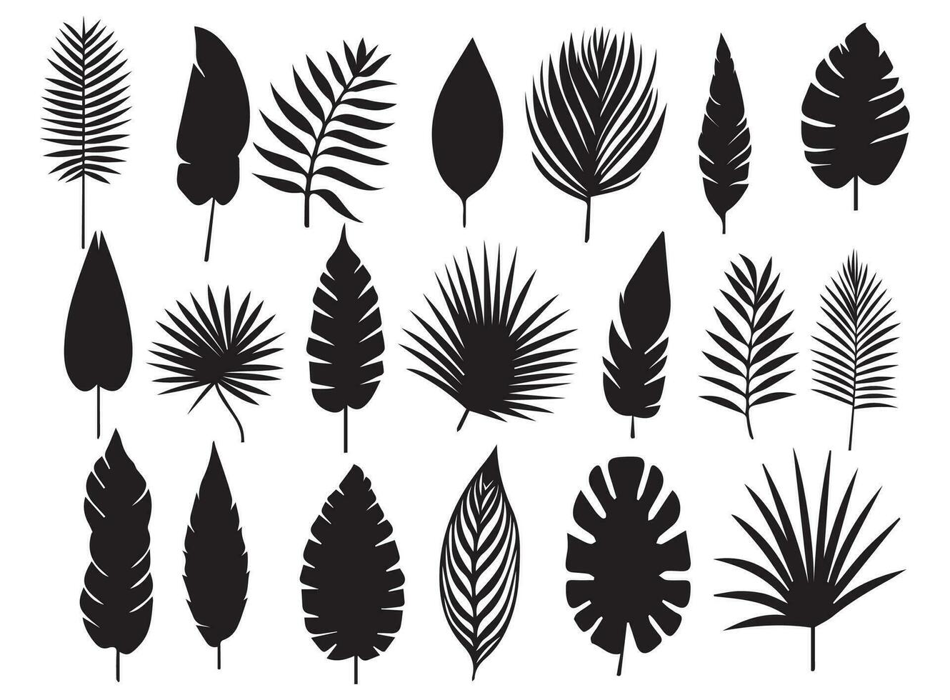 big set palm leaves pattern set black and white vector illustration different palm leaves black silhouette