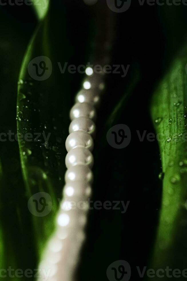 Pearls in exotic green leaves, luxury jewellery photo