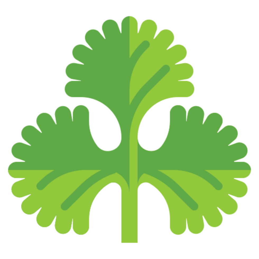 coriander icon design png