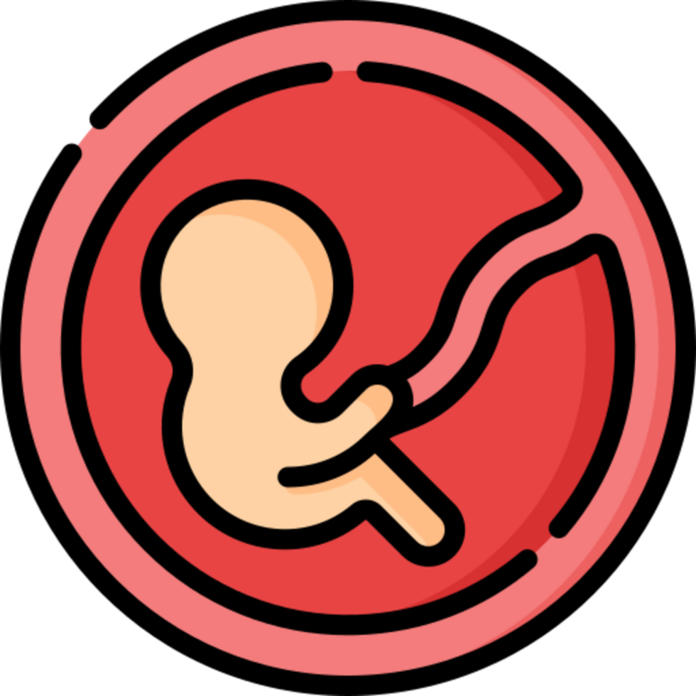 fetus icon design png