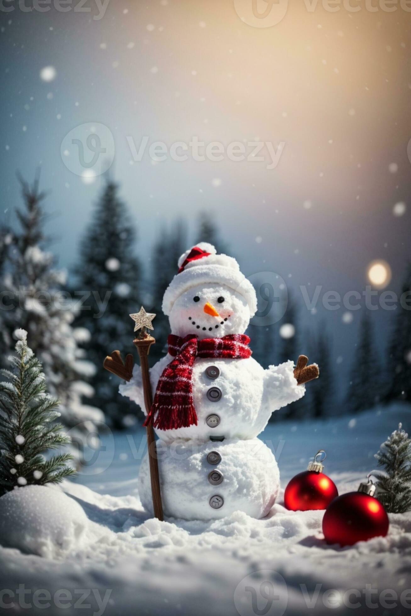 Snow Man - 【匿名発送】SnowMan Greeting Photo〜クリスマスver.〜 Snow Man (w/English Subtitles!) 'Christmas wishes' Rec Ver