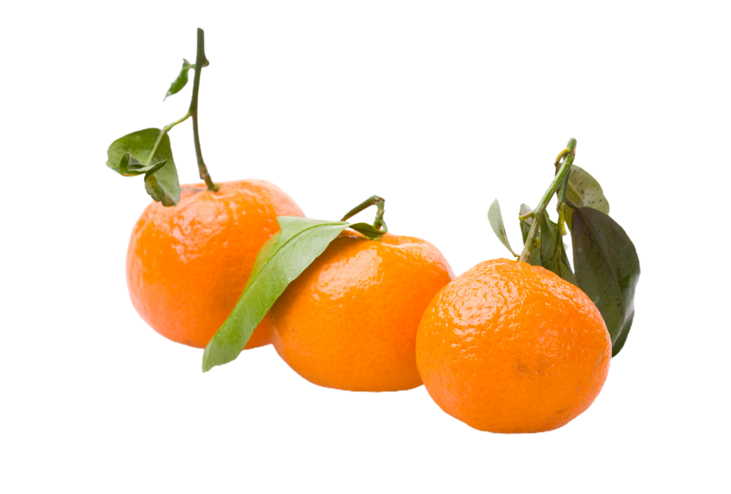 orange or Tangerine png transparent background 29200102 PNG