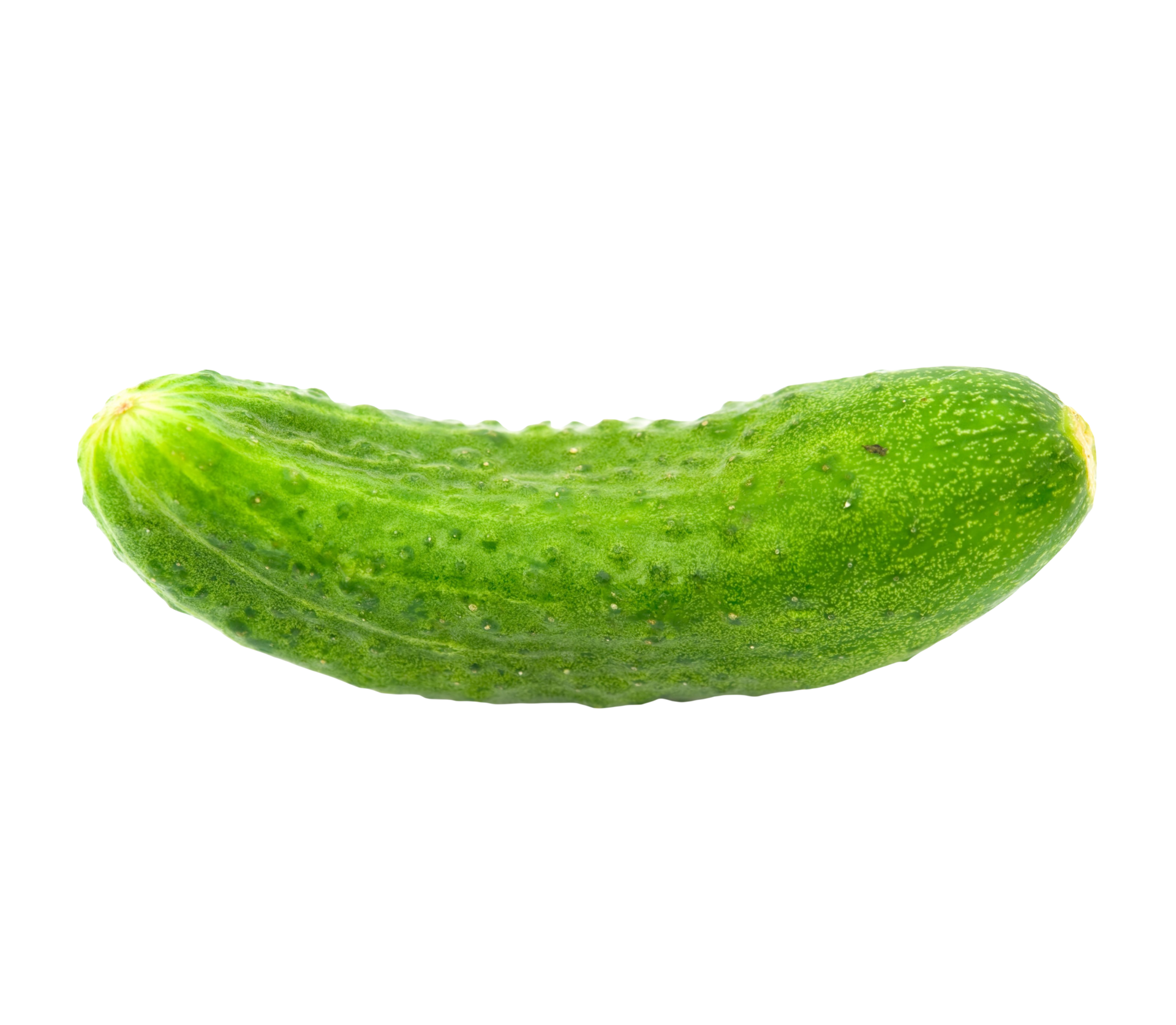 High Definition Cucumber Png Picture 29200219 PNG