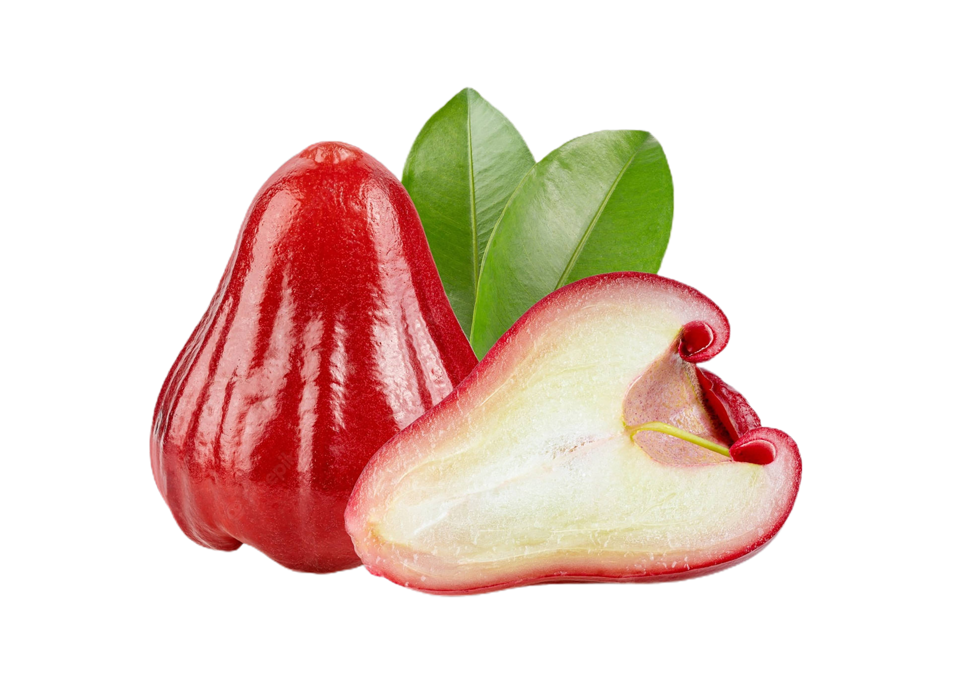 rose apple png transparent background 29200228 PNG