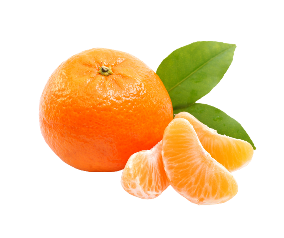 orange or Tangerine png transparent background