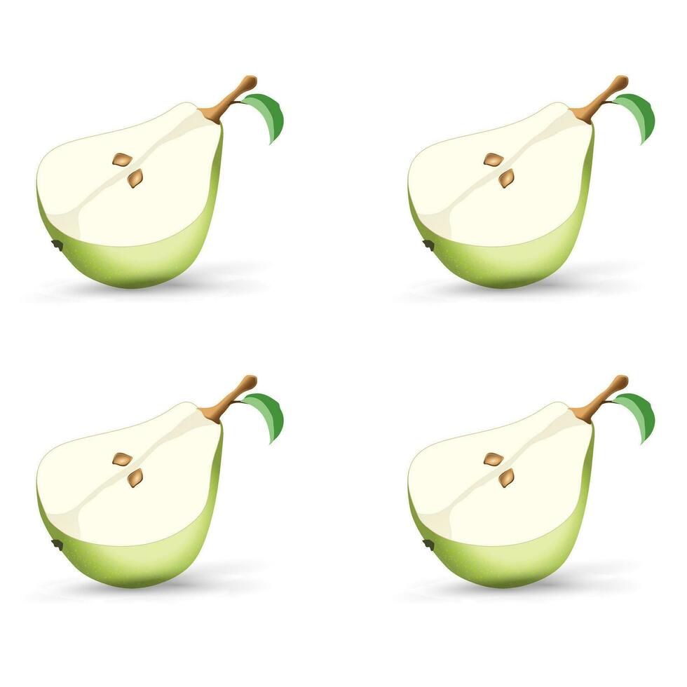 SET of four  Realistic green half of pear fruit concept, pear half isolated on the white background. vector illustration