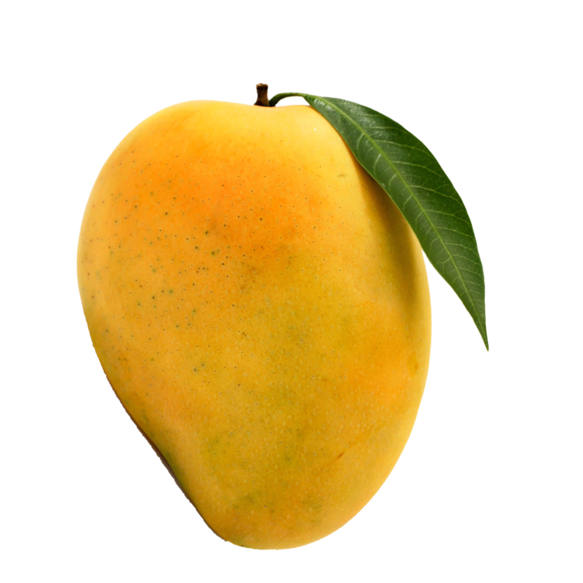 One Mango Changed Everything - 2cjh51c