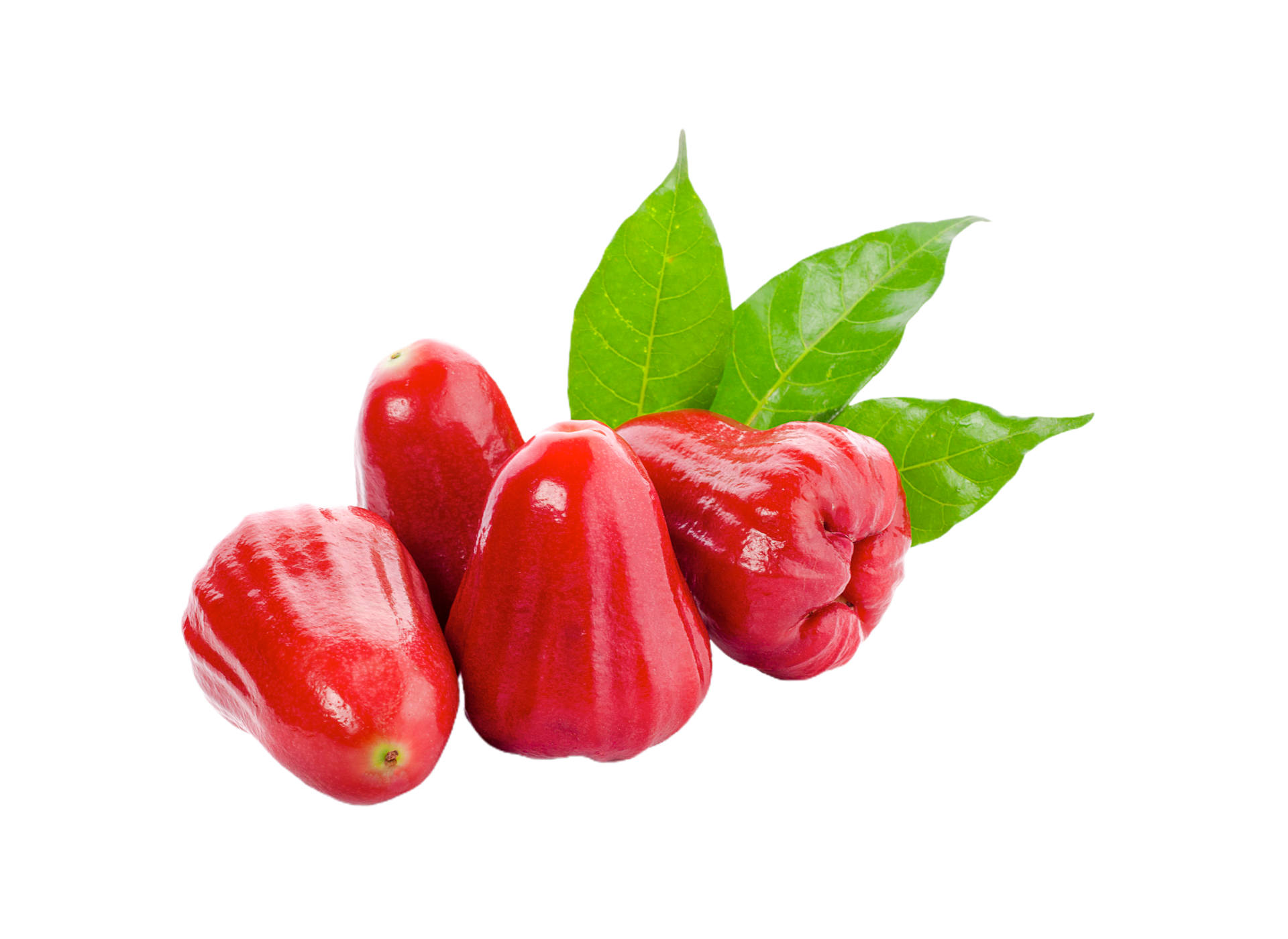 rose apple png transparent background 29200386 PNG