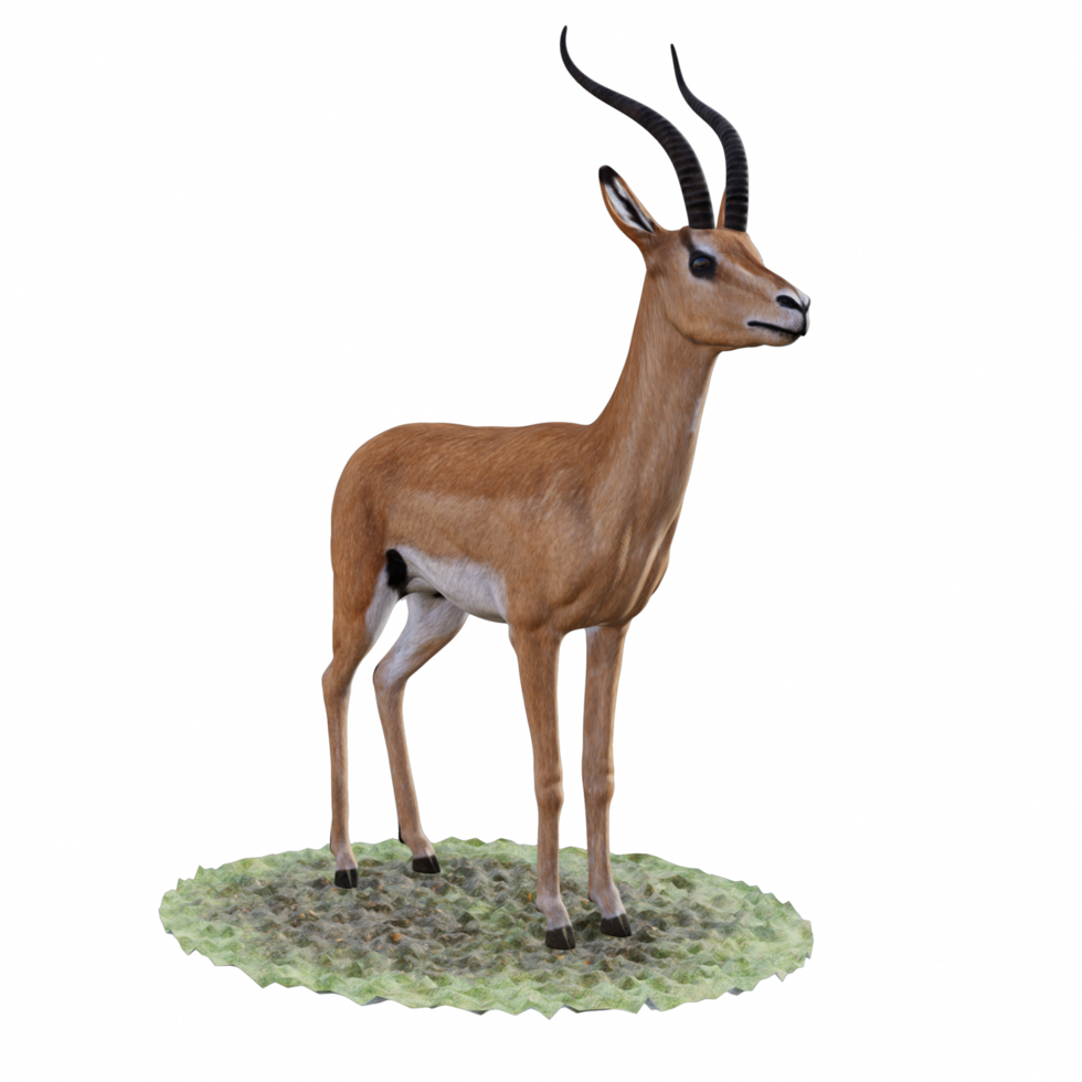 Gazelle isolated 3d png