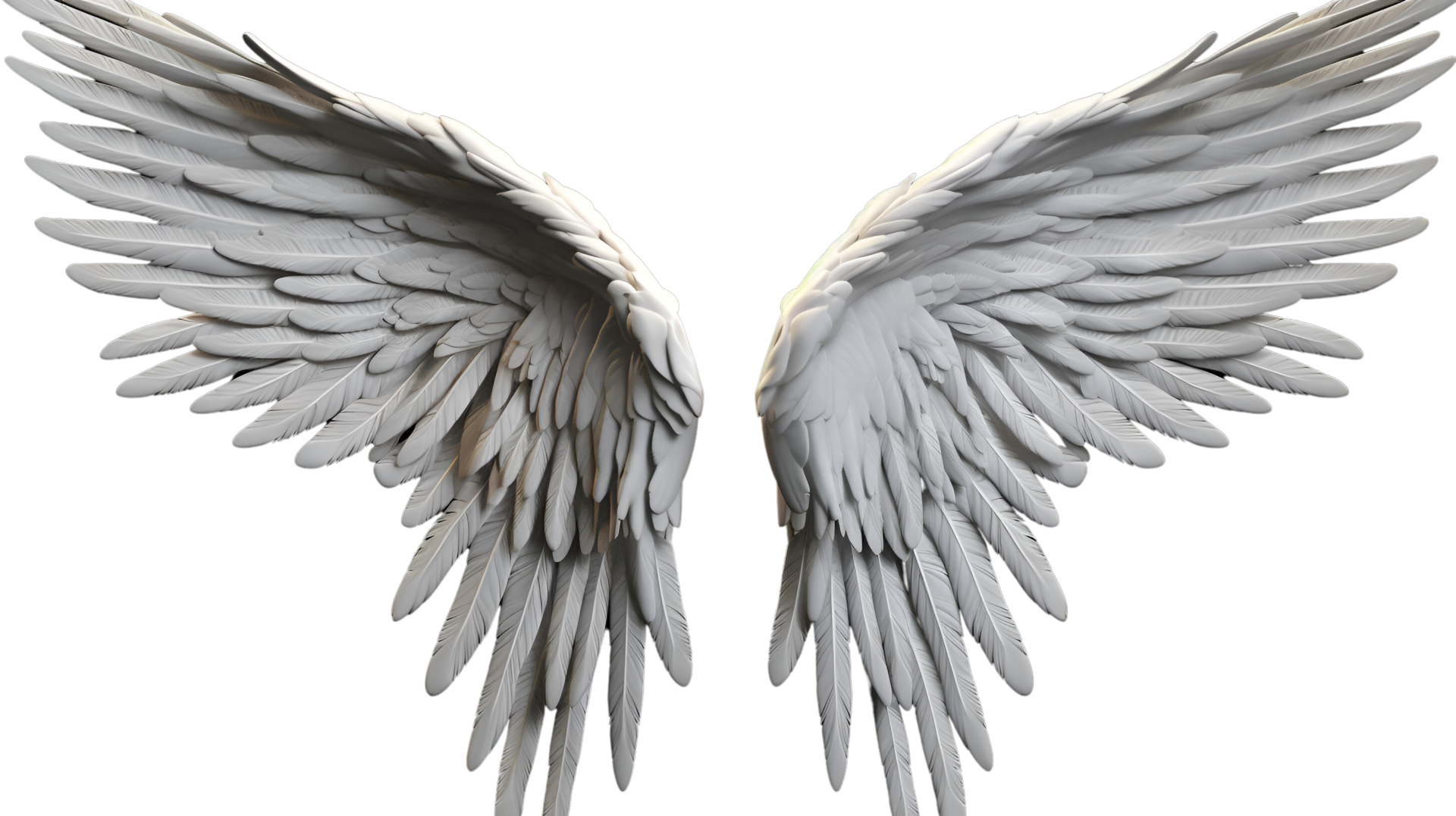 Realistic Style Angel's Wings No Background Perfect for Photograph ...