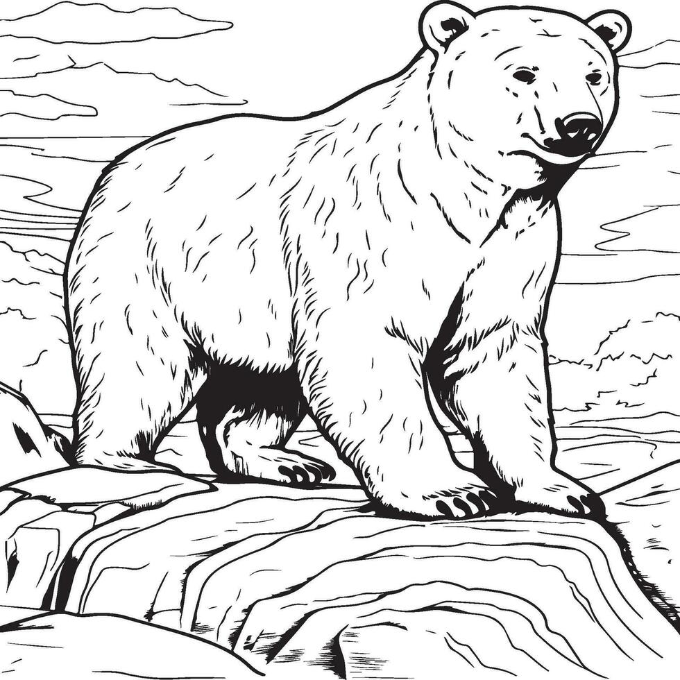 polar bear coloring page vector