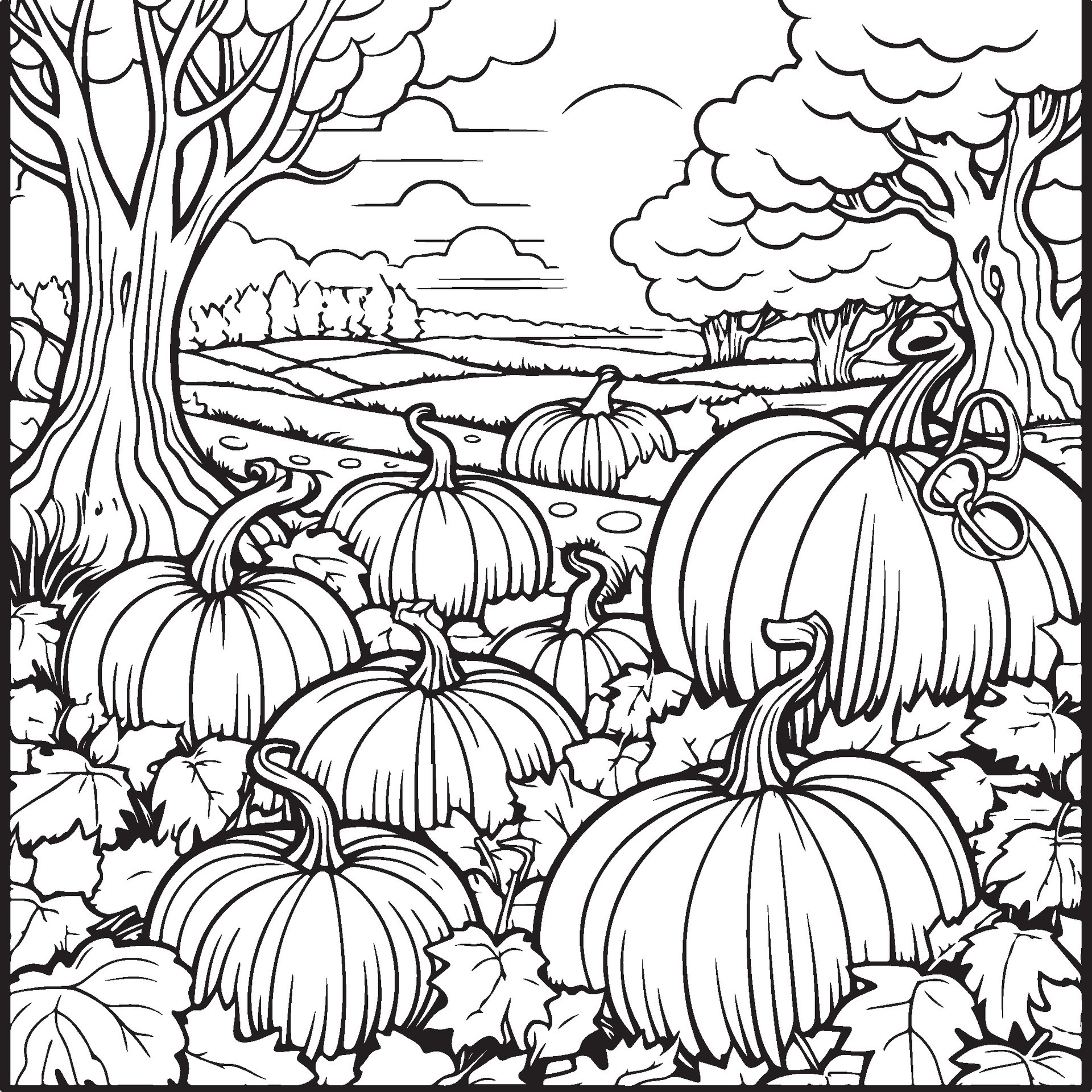 pumpkin patch coloring page 29204354 Vector Art at Vecteezy