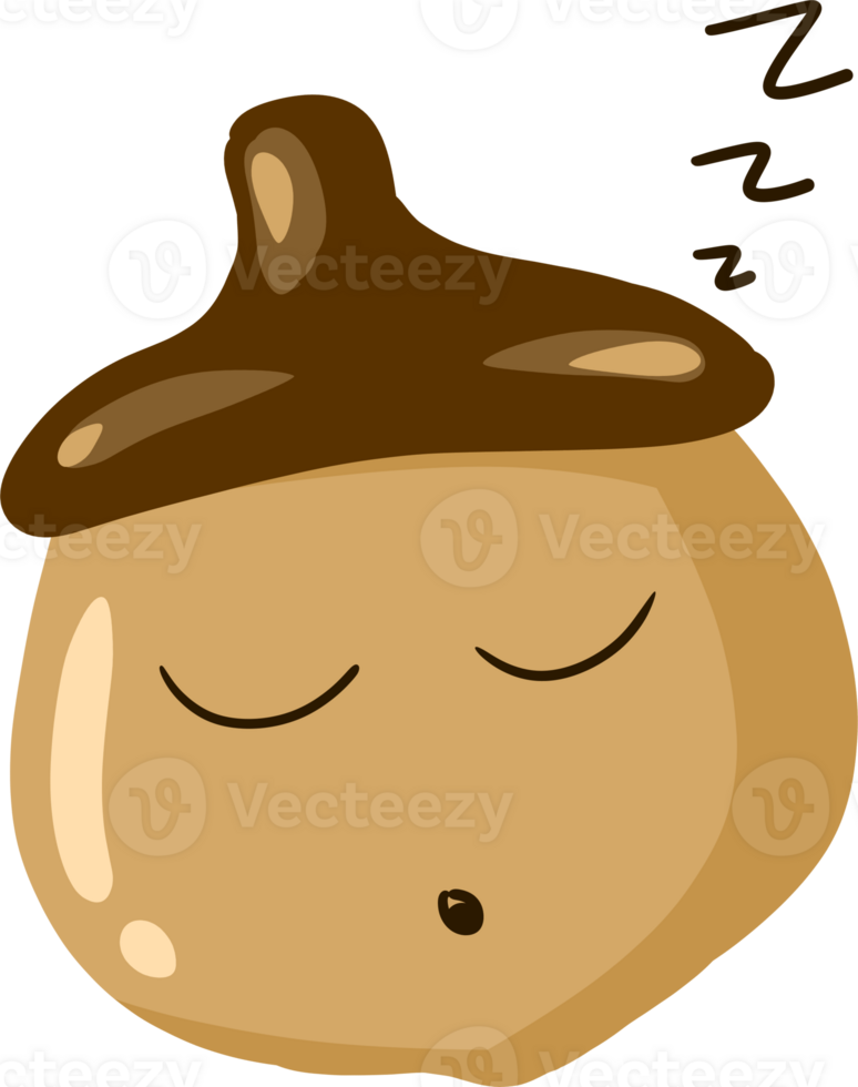 nut oak chestnut png