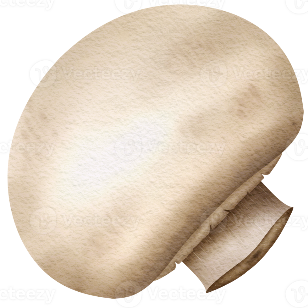 This picture is drawn and painted to look like mushroom. png