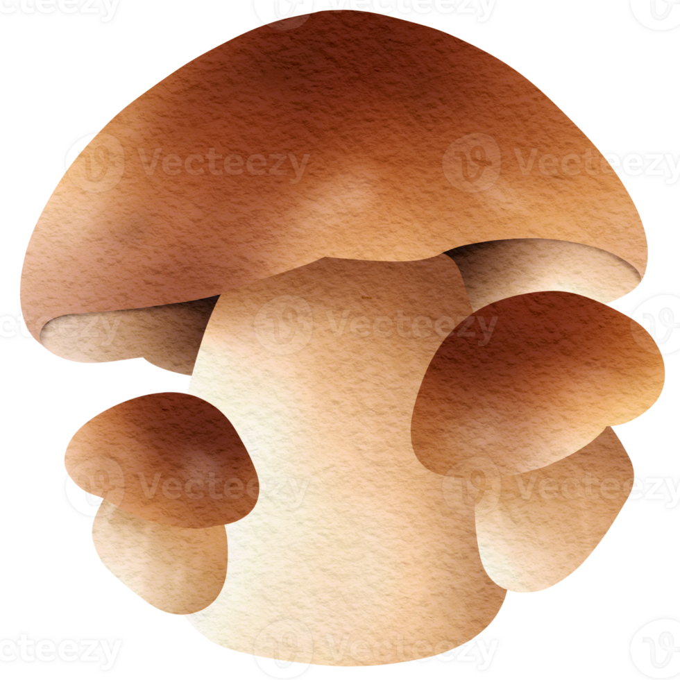 This picture is drawn and painted to look like mushroom. png