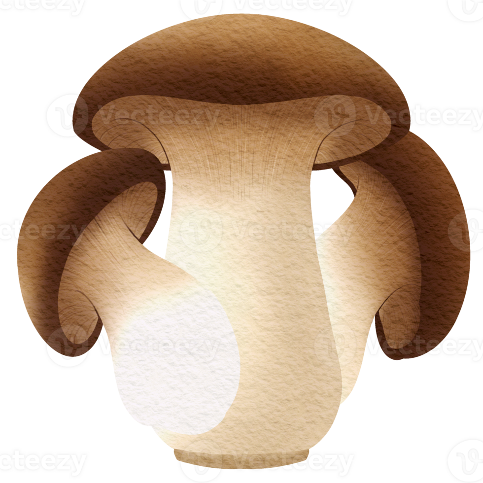 This picture is drawn and painted to look like mushroom. png