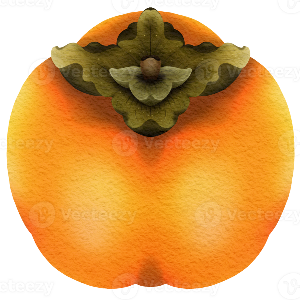 This picture is drawn and painted to look like persimmon. png