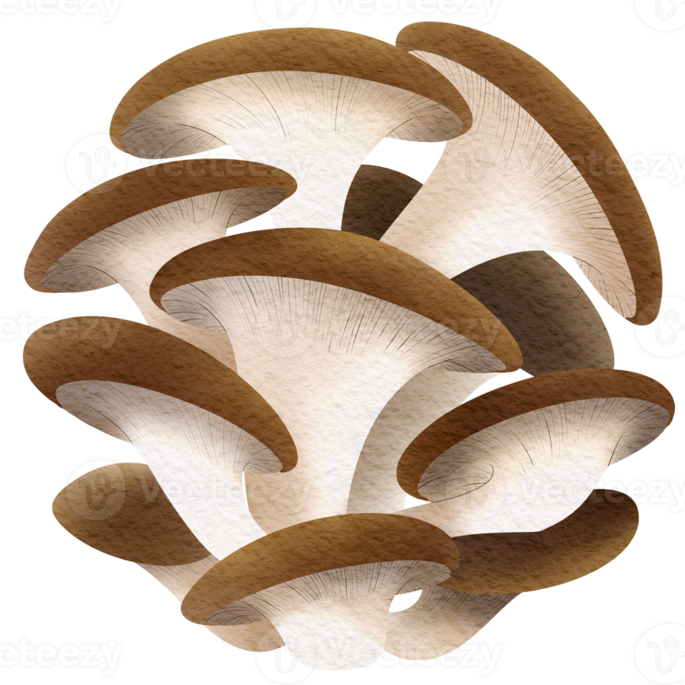 This picture is drawn and painted to look like mushroom. png