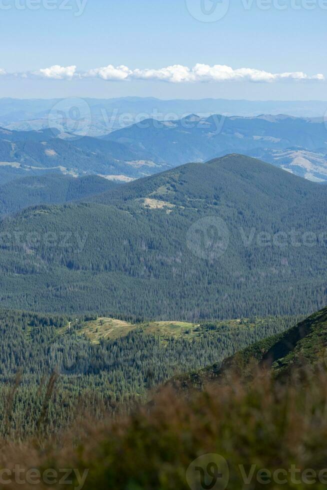 Mountain landscape with forest in the Carpathian mountains of Ukraine. photo