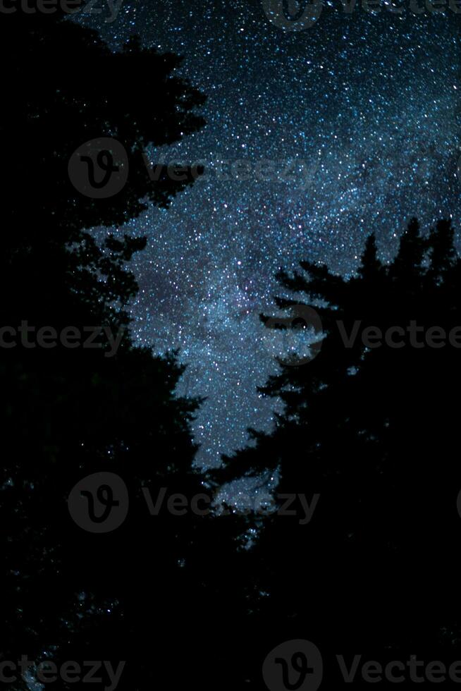 Night-time Astrophotography of the stars photo