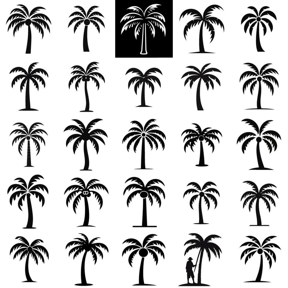 Tropical Palm Tree Icon Set for Various Applications vector