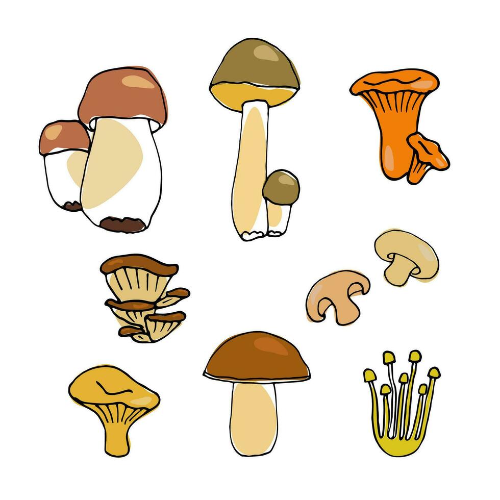 set of vector colored mushrooms in cartoon style