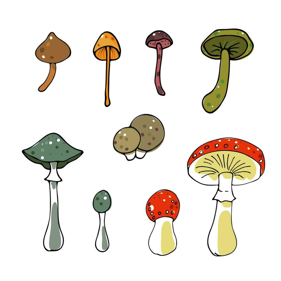 set of vector colored toadstool mushrooms, fly agarics in cartoon style