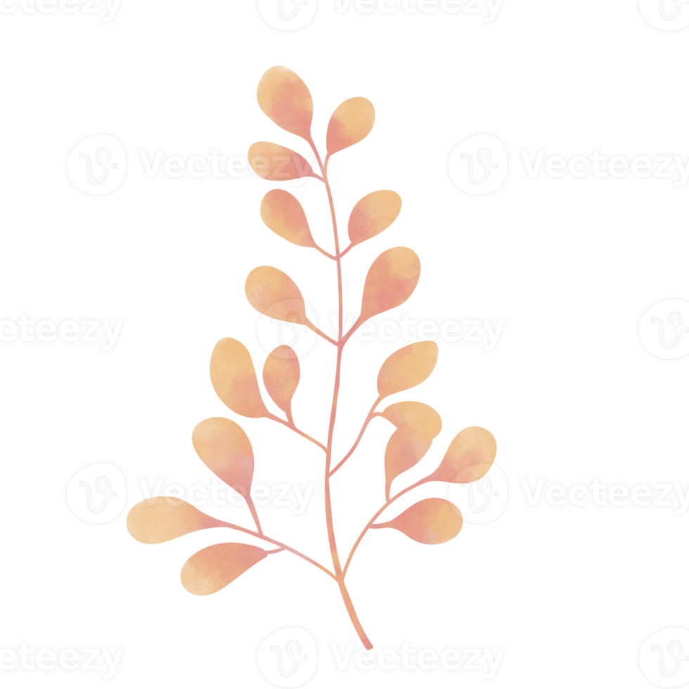 pink orange water plant in the sea and ocean, no background 29212902 PNG