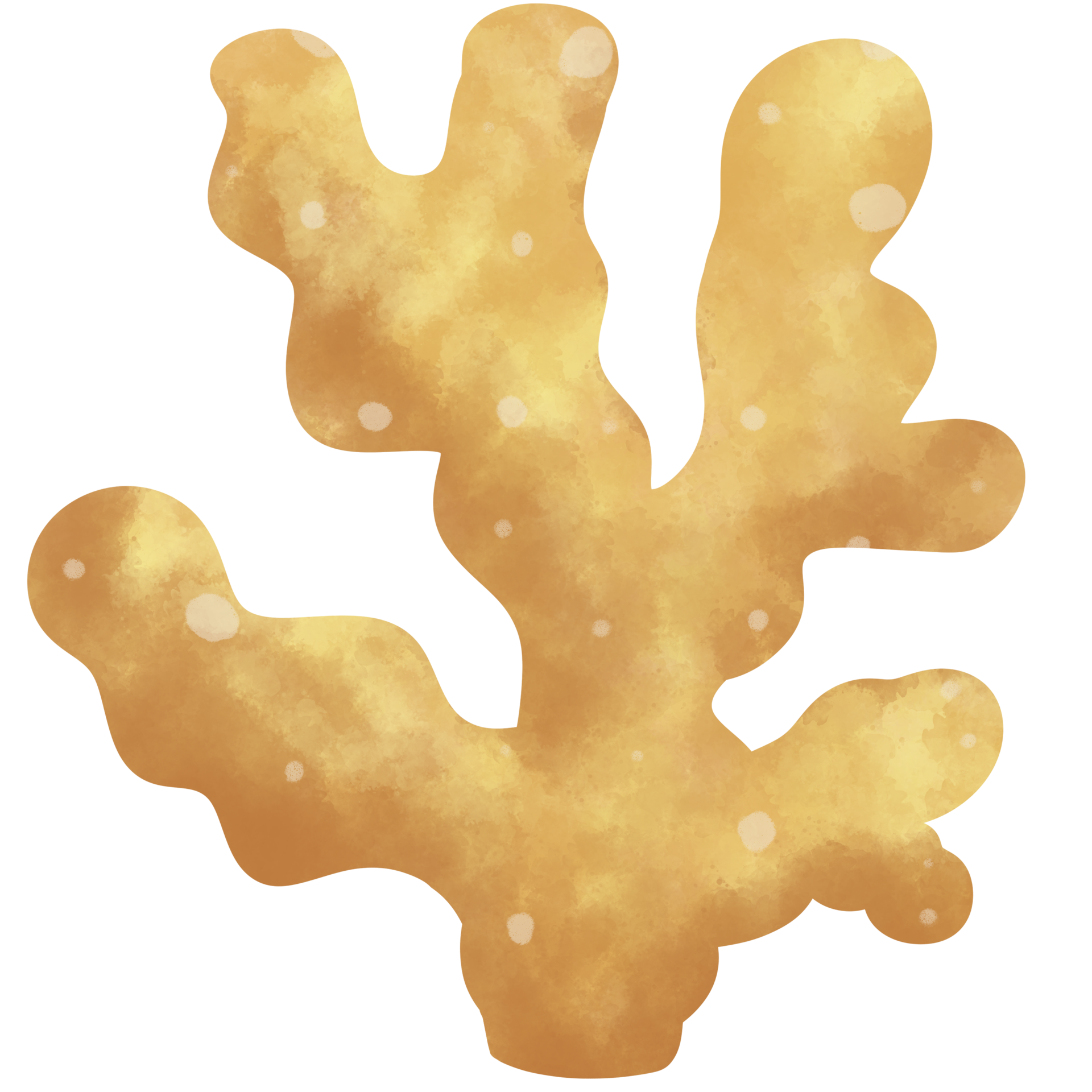 cute draw color water yellow coral , no background 29212910 PNG