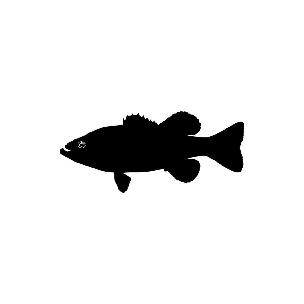 Bass Fish Silhouette, can use for Art Illustration, Logo Gram, Pictogram, Mascot, Website, or Graphic Design Element. Vector Illustration