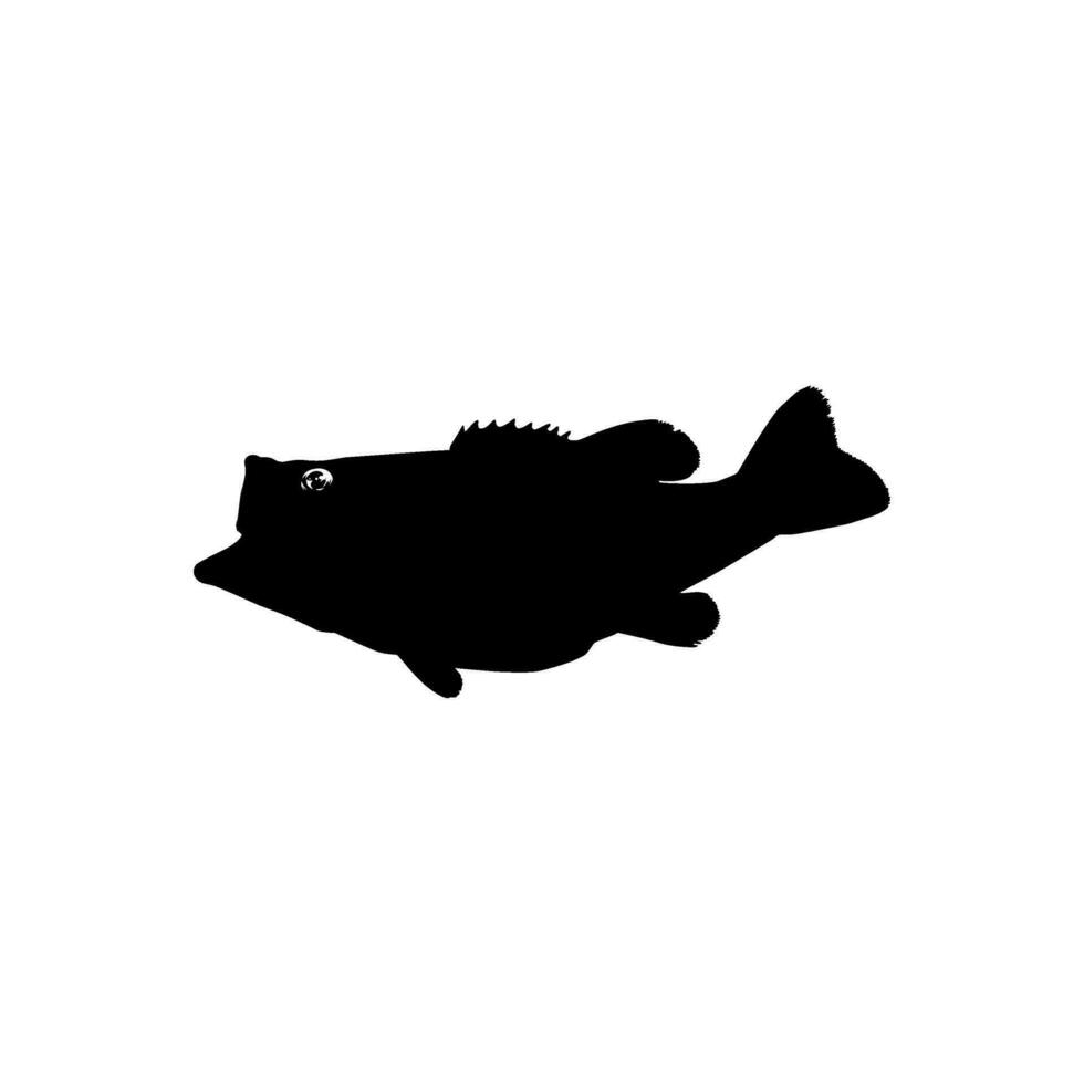 Bass Fish Silhouette, can use for Art Illustration, Logo Gram, Pictogram, Mascot, Website, or Graphic Design Element. Vector Illustration