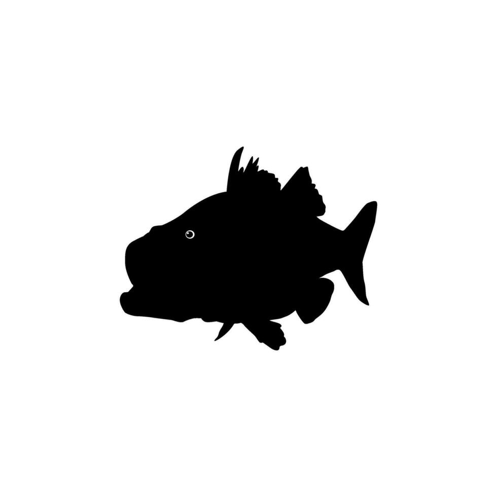 Bass Fish Silhouette, can use for Art Illustration, Logo Gram, Pictogram, Mascot, Website, or Graphic Design Element. Vector Illustration