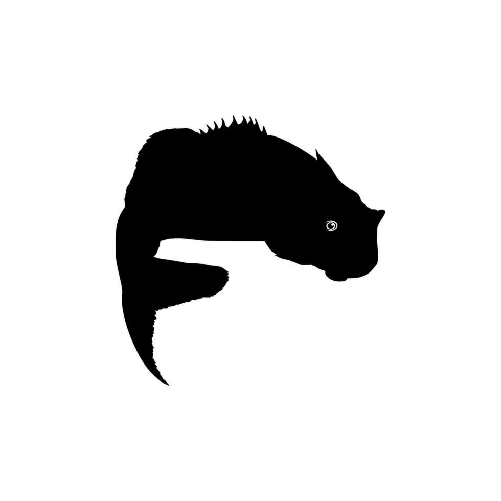 Bass Fish Silhouette, can use for Art Illustration, Logo Gram, Pictogram, Mascot, Website, or Graphic Design Element. Vector Illustration