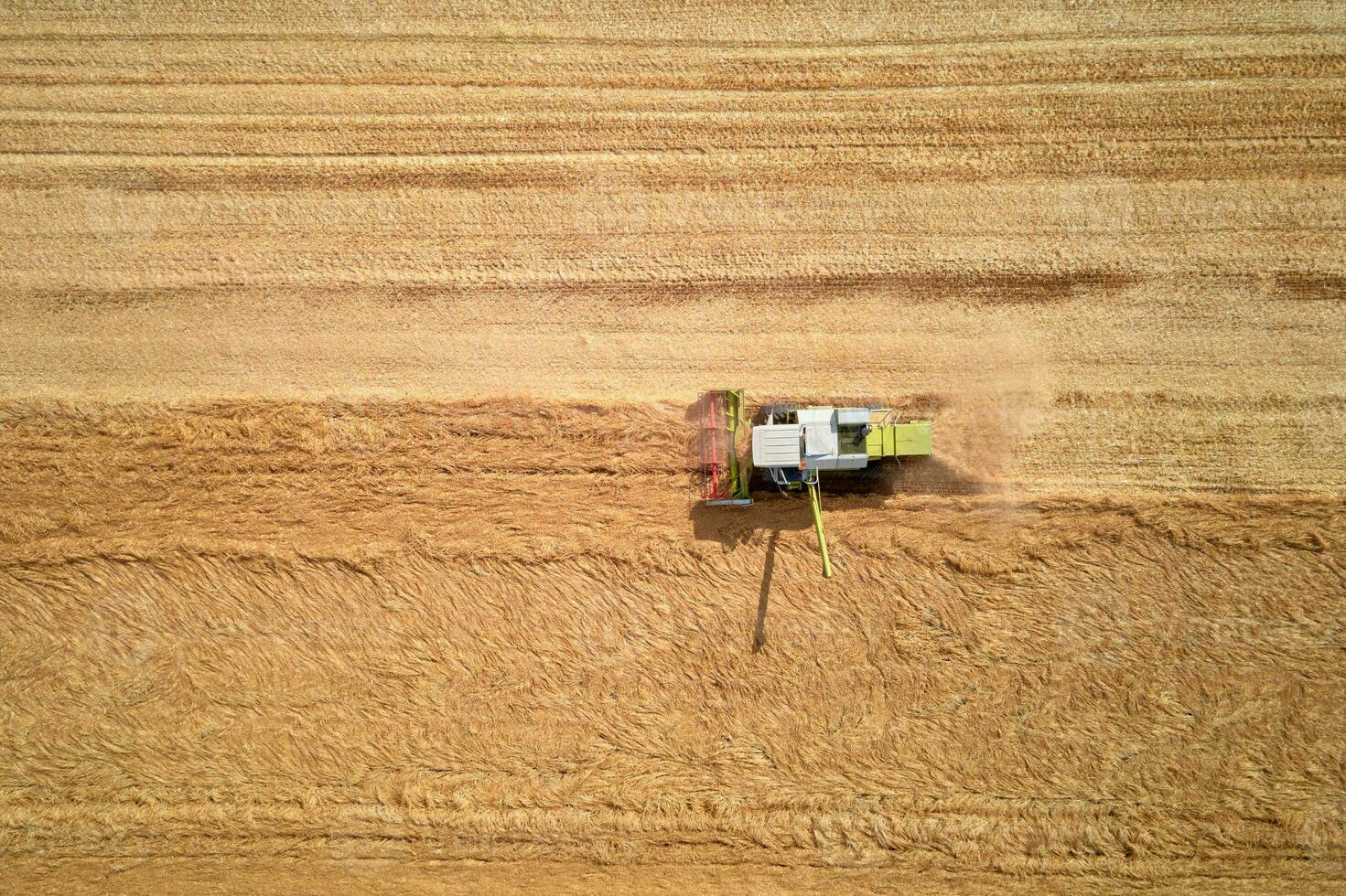 Aerial view of working harvesting combine in wheat field, Harvest season photo