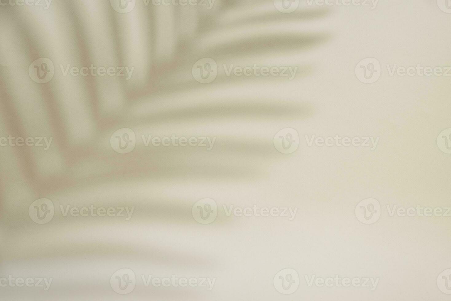 sombra de palma hoja en pastel antecedentes foto