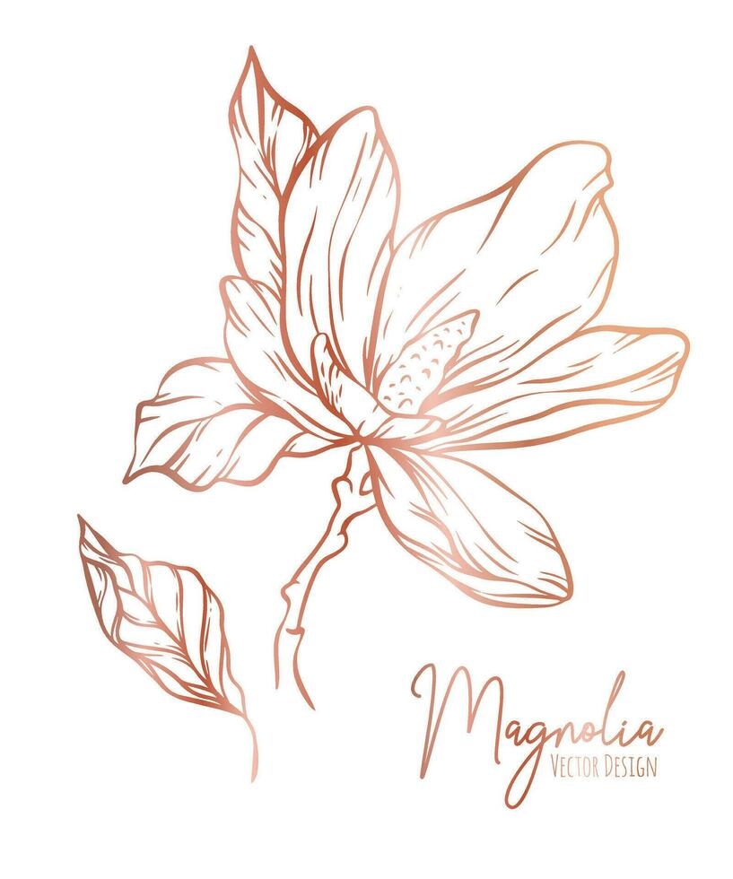 magnolia flor línea ilustración colocar. mano dibujado Rosa oro contorno Boda hierba, elegante hojas para invitación salvar el fecha tarjeta. botánico de moda verdor vector colección para web, imprimir, carteles
